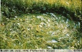 Marks on the grass, where the ship landed.jpg